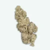fleur-cbd-oz-sauvage-s1 OZ sauvage
