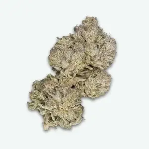 fleur-cbd-afghan-cookie 1s Afghan cookie