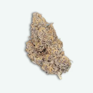 fleur-cbd-orange-fritter-indoor-S1 Orange fritter