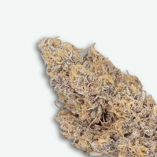fleur-cbd-orange-fritter-indoor-S2 Orange fritter