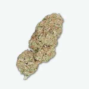 fleur-cbd-payton-strawberry-s1 Payton's strawberry