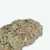 Payton's strawberry