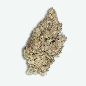 fleur-cbd-pineapple-sauvage-s1 Pineapple sauvage