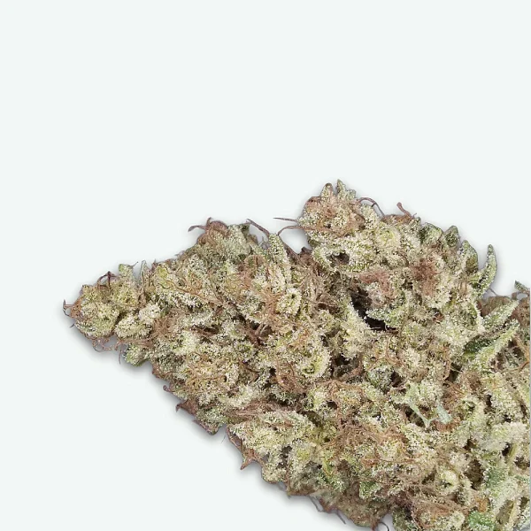 fleur-cbd-pineapple-sauvage-s2 Pineapple sauvage
