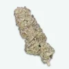 fleur-cbd-piste-noire-s1 Piste noire