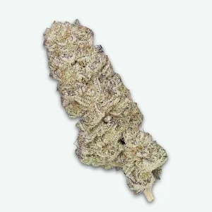 fleur-cbd-piste-noire-s1 Piste noire