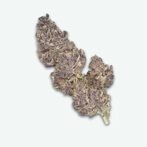 fleur-cbd-rose-sauvage-s1 Rose sauvage
