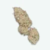 fleur-cbd-tropical-fruit-scoop-s1 Tropical fruit scoop