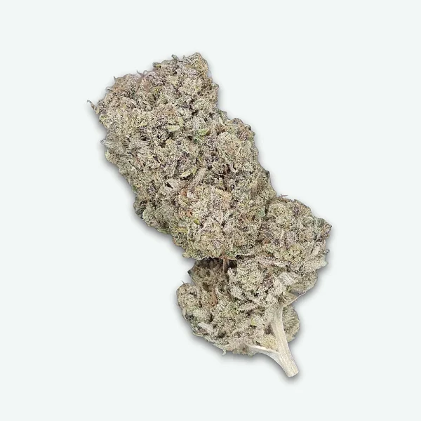 fleur-cbd-yak-myrtille s1 Yak myrtille